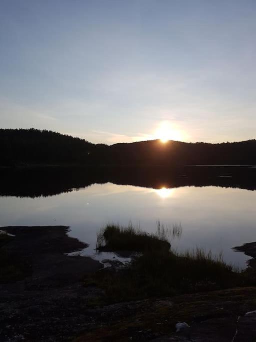 River Run Ranch - Telemark Drangedal Экстерьер фото