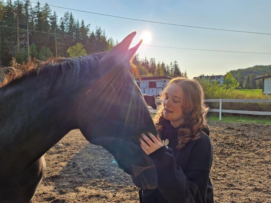 River Run Ranch - Telemark Drangedal Экстерьер фото